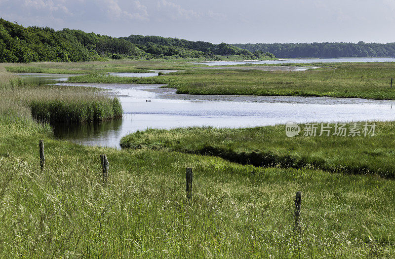 Geltinger Birk, naturtzgeet, Schleswig-Holstein先生